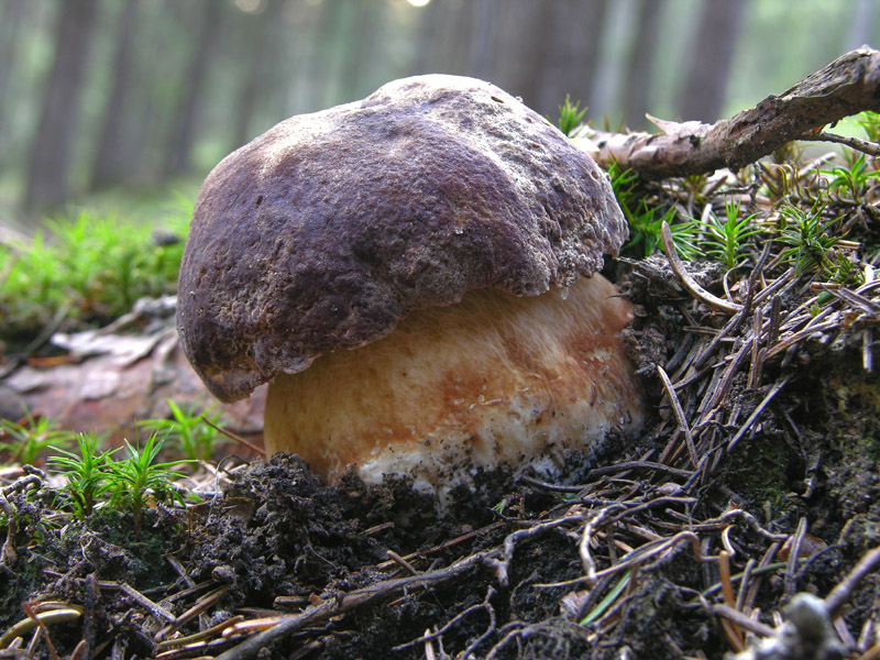 Qualche highlight 2007